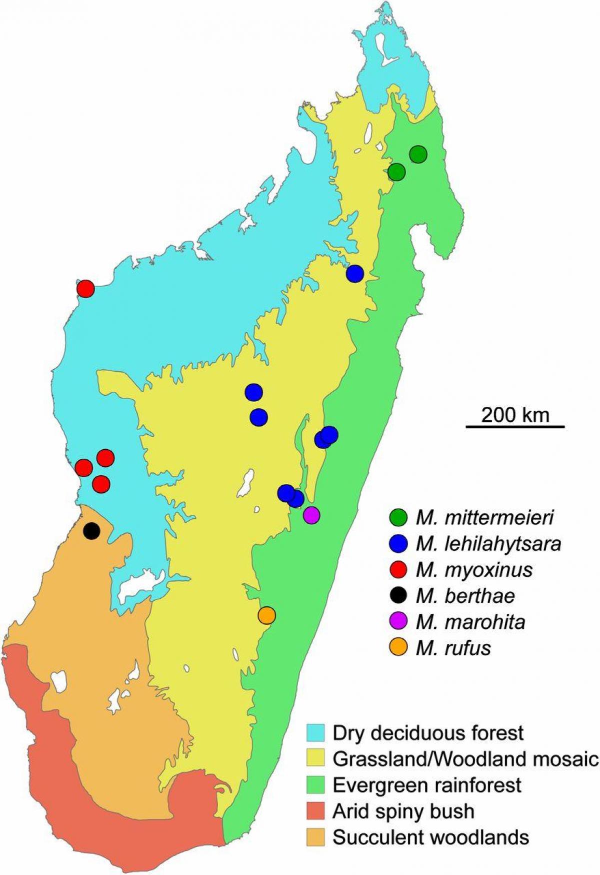 karta över Madagaskars regnskog