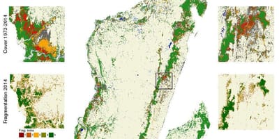 Karta över avskogning Madagaskar