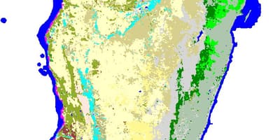 Karta över Madagaskar vegetation